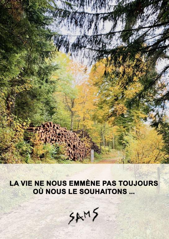 LA VIE NE NOUS EMMÈNE PAS TOUJOURS ...