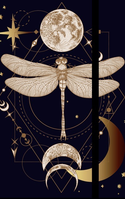 La magie de la nuit - Agenda 2025