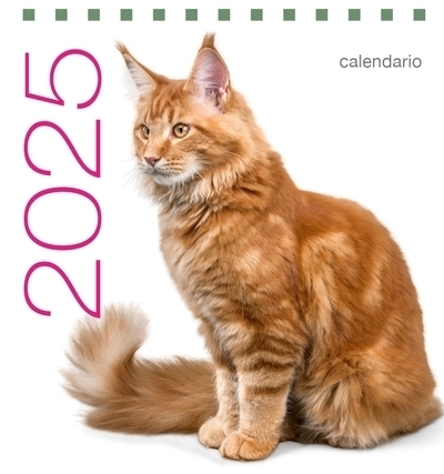 Calendrier de table 2025 Chats