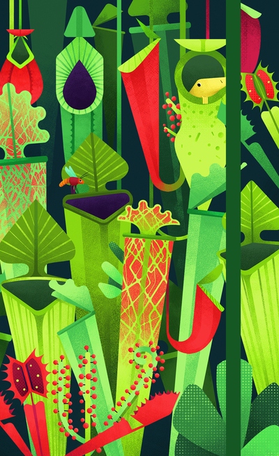 Agenda 2019 Plantes carnivores