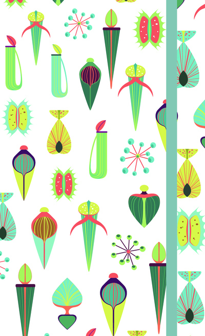 Agenda 2019 Plantes grasses