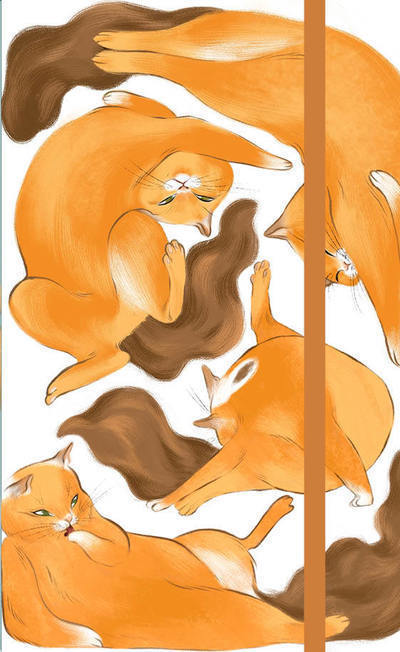 Agenda 2022 - Chats roux