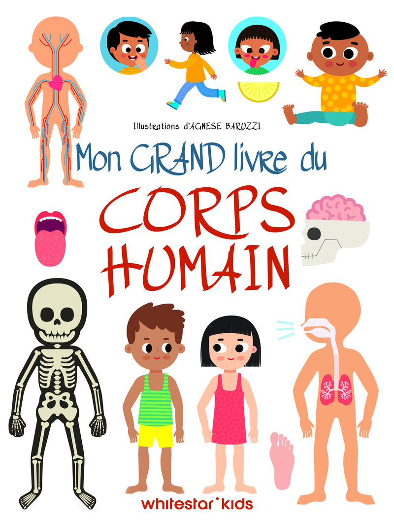 Mon grand livre du corps humain