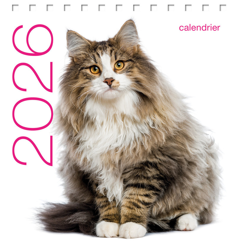 Calendrier de table 2026 - Chats