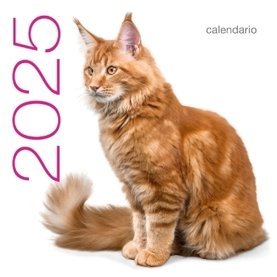 Calendrier mural 2025 Chats