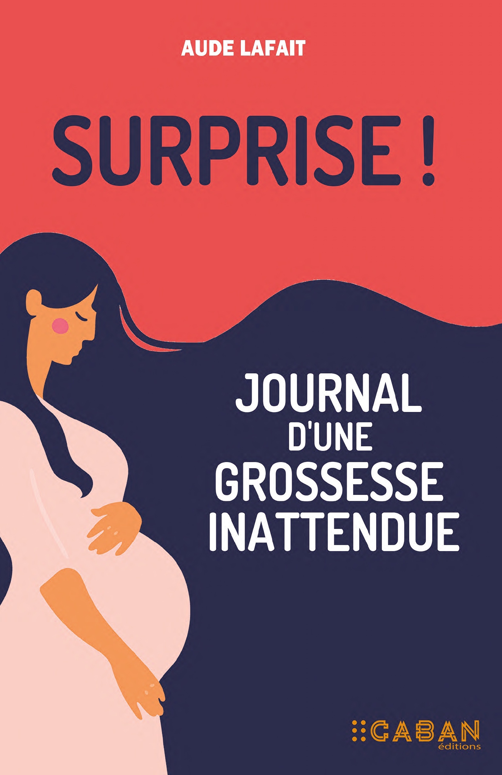 Surprise ! Journal d'une grossesse inattendue