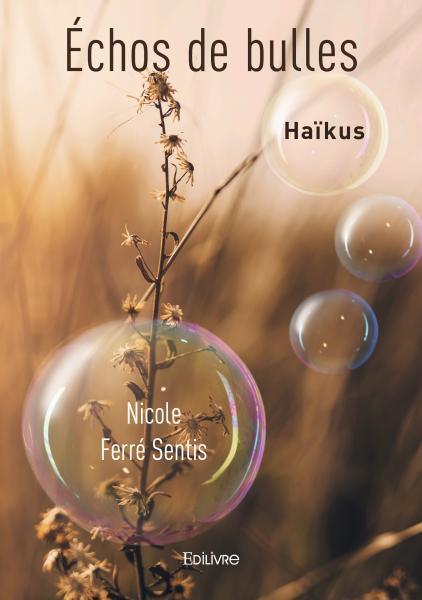 Échos de bulles