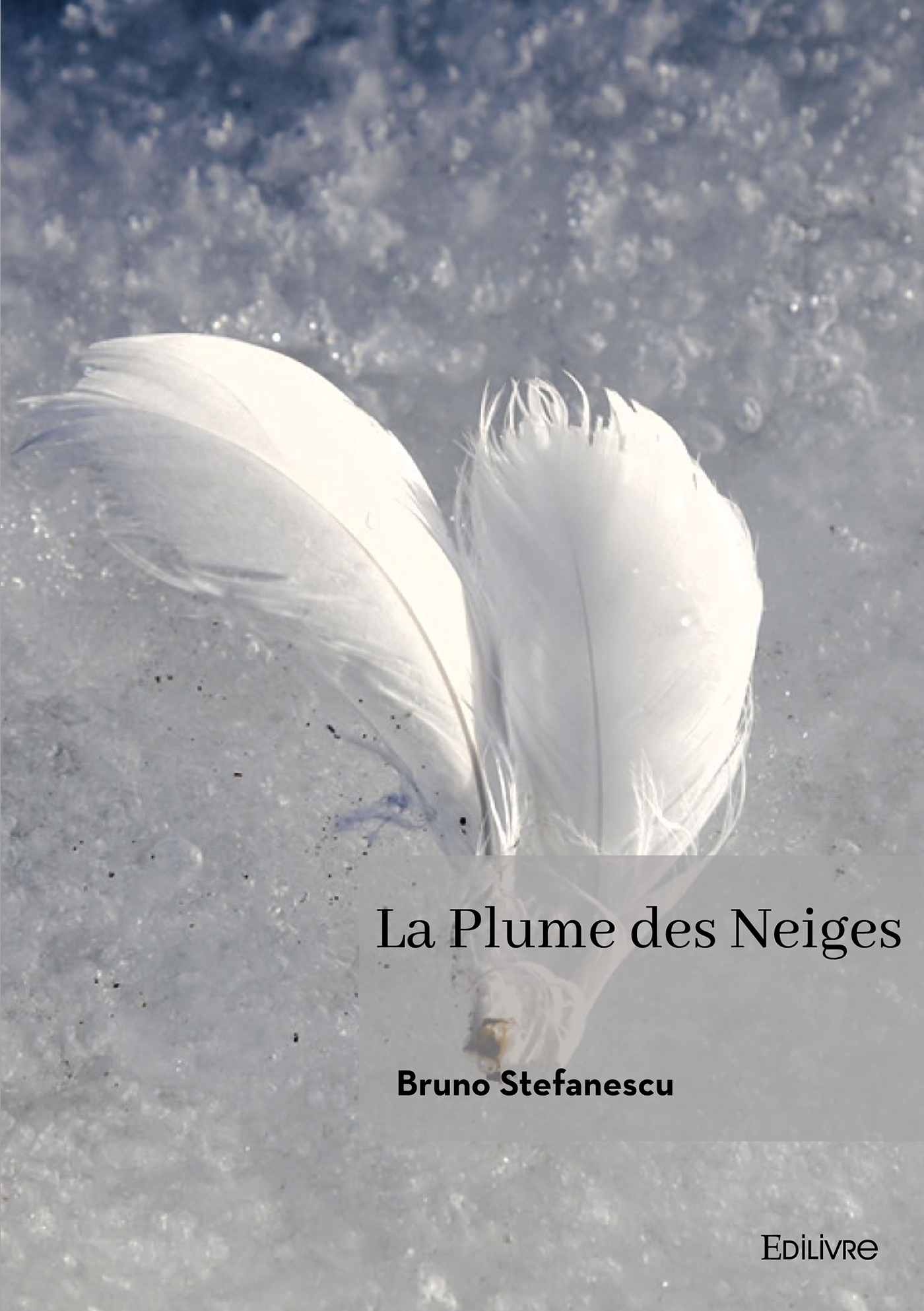 La Plume des Neiges