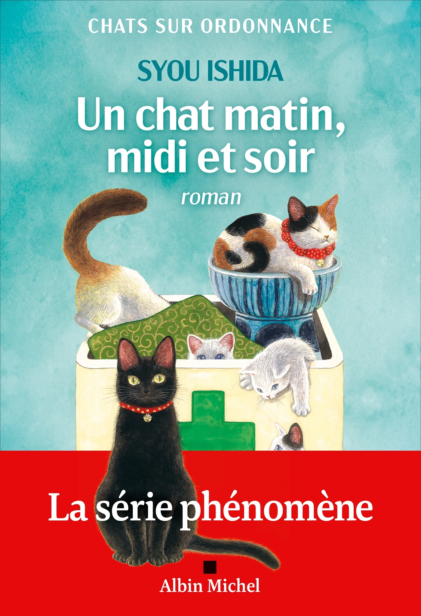 Un chat matin, midi et soir