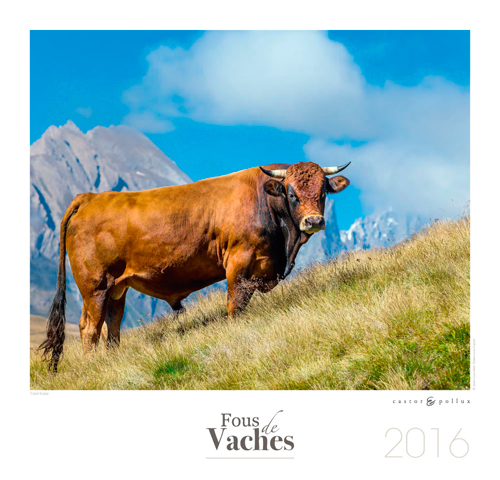 CALENDRIER 2016 FOUS DE VACHES
