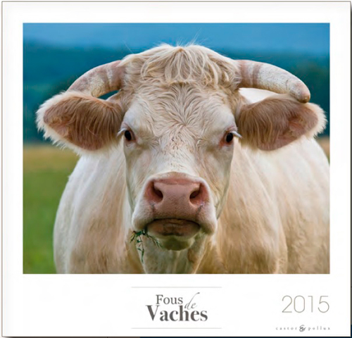 CALENDRIER 2015 FOUS DE VACHES