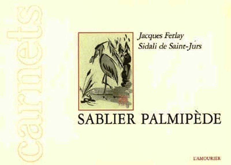 SABLIER PALMIPEDE