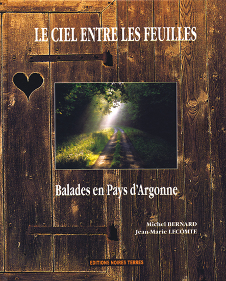 LE CIEL ENTRE LES FEUILLES