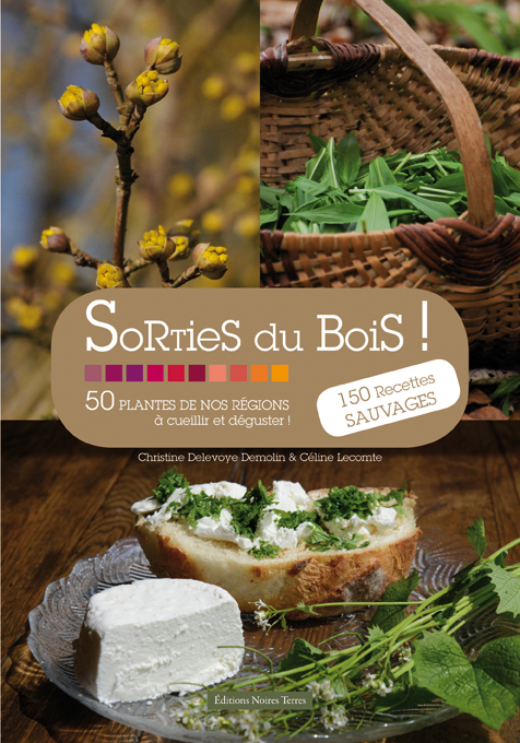 Sorties du bois ! - 50 plantes de nos régions à cueillir et déguster !