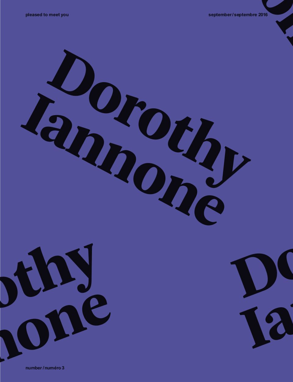 Pleased To Meet You : Dorothy Iannone