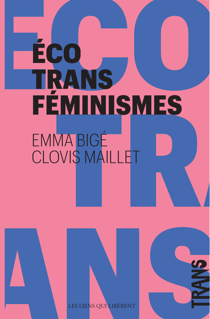 Écotransféminismes