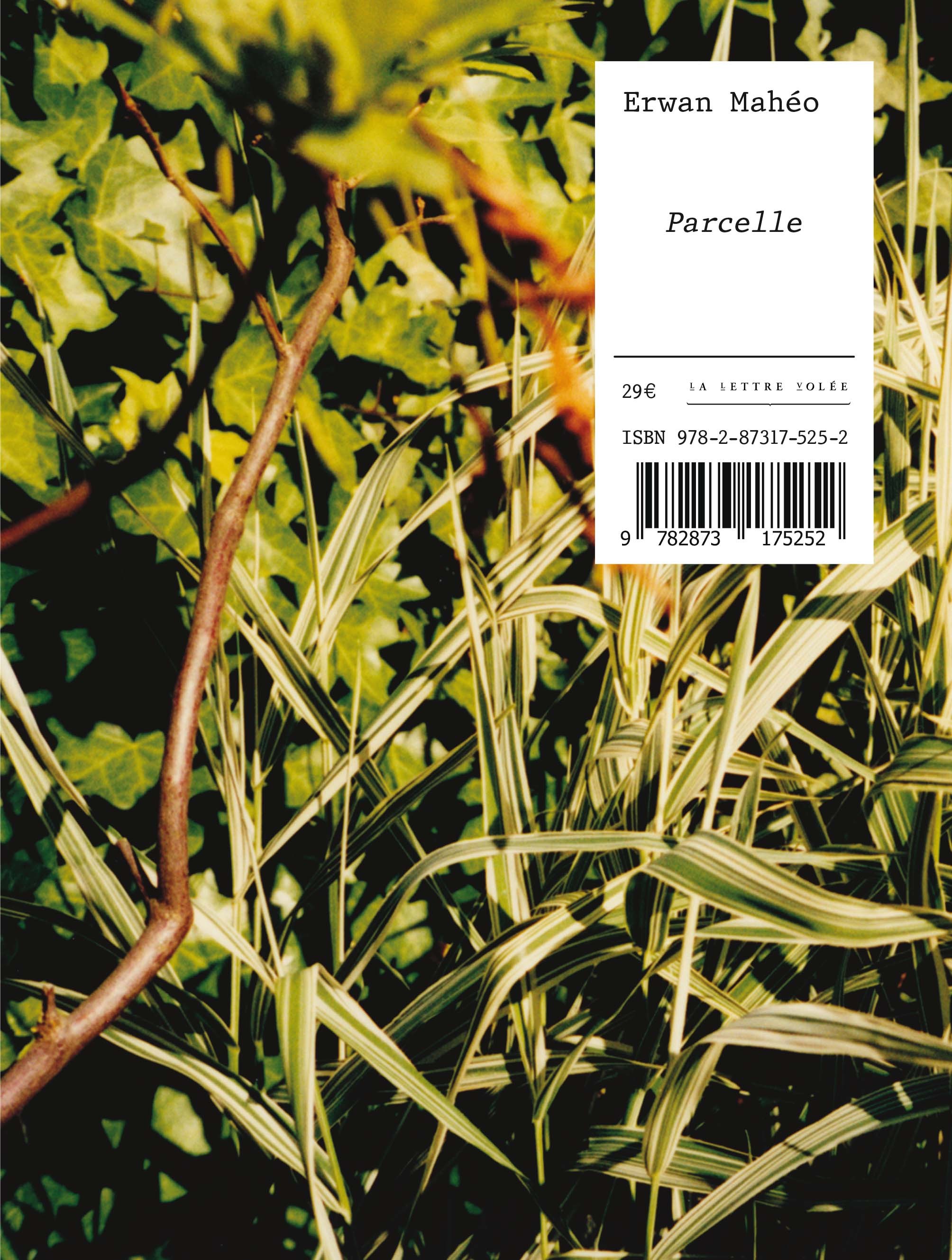 Parcelle