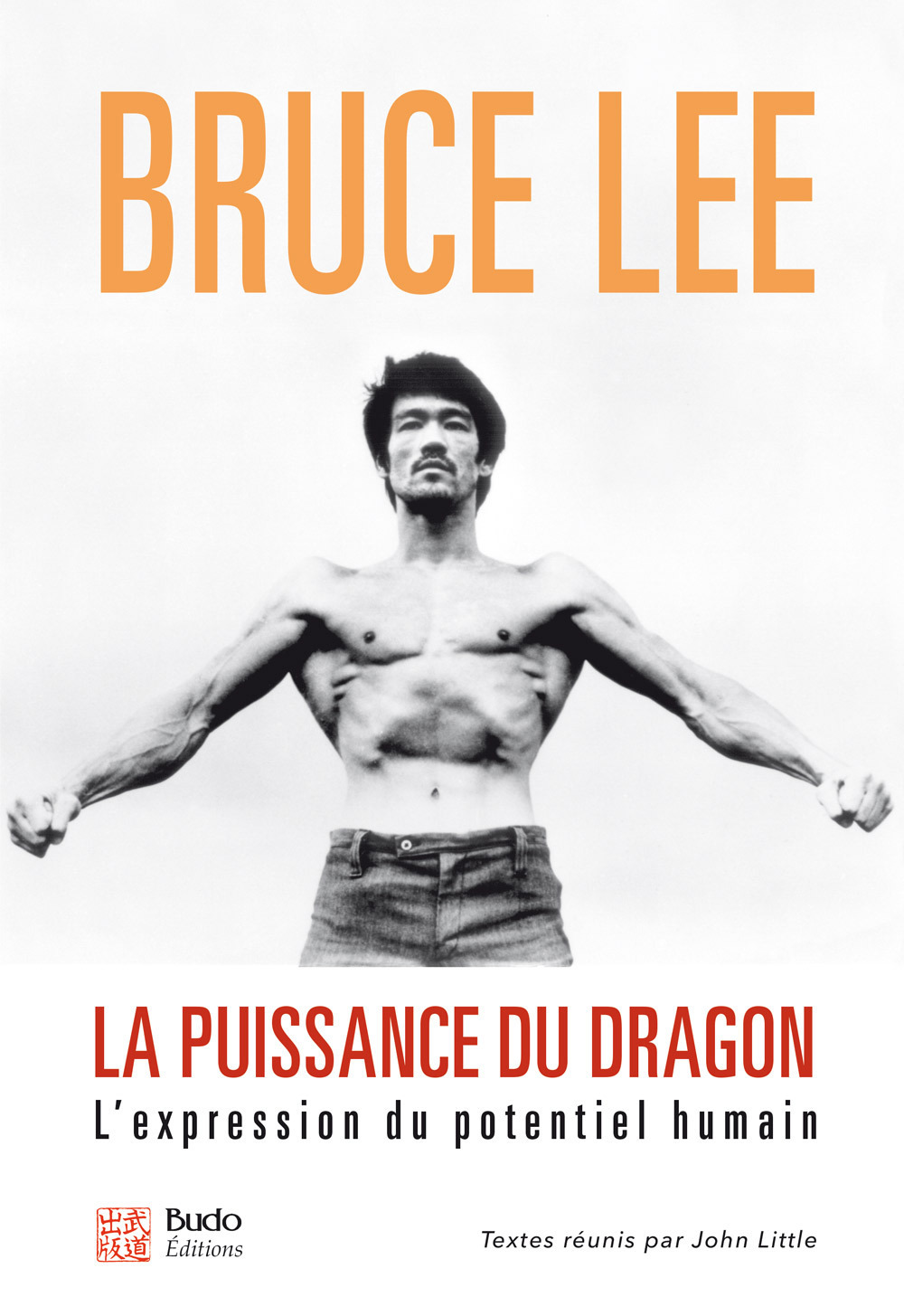 La puissance du dragon