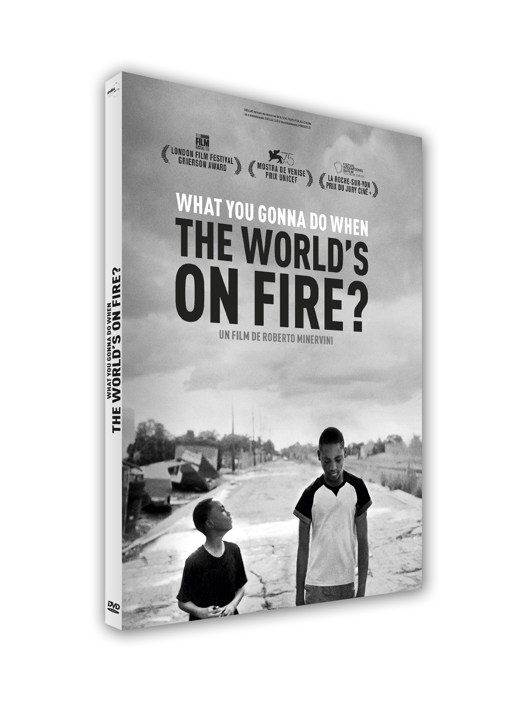 WHAT YOU GONNA DO WHEN THE WORLD'S ON FIRE  ? - DVD