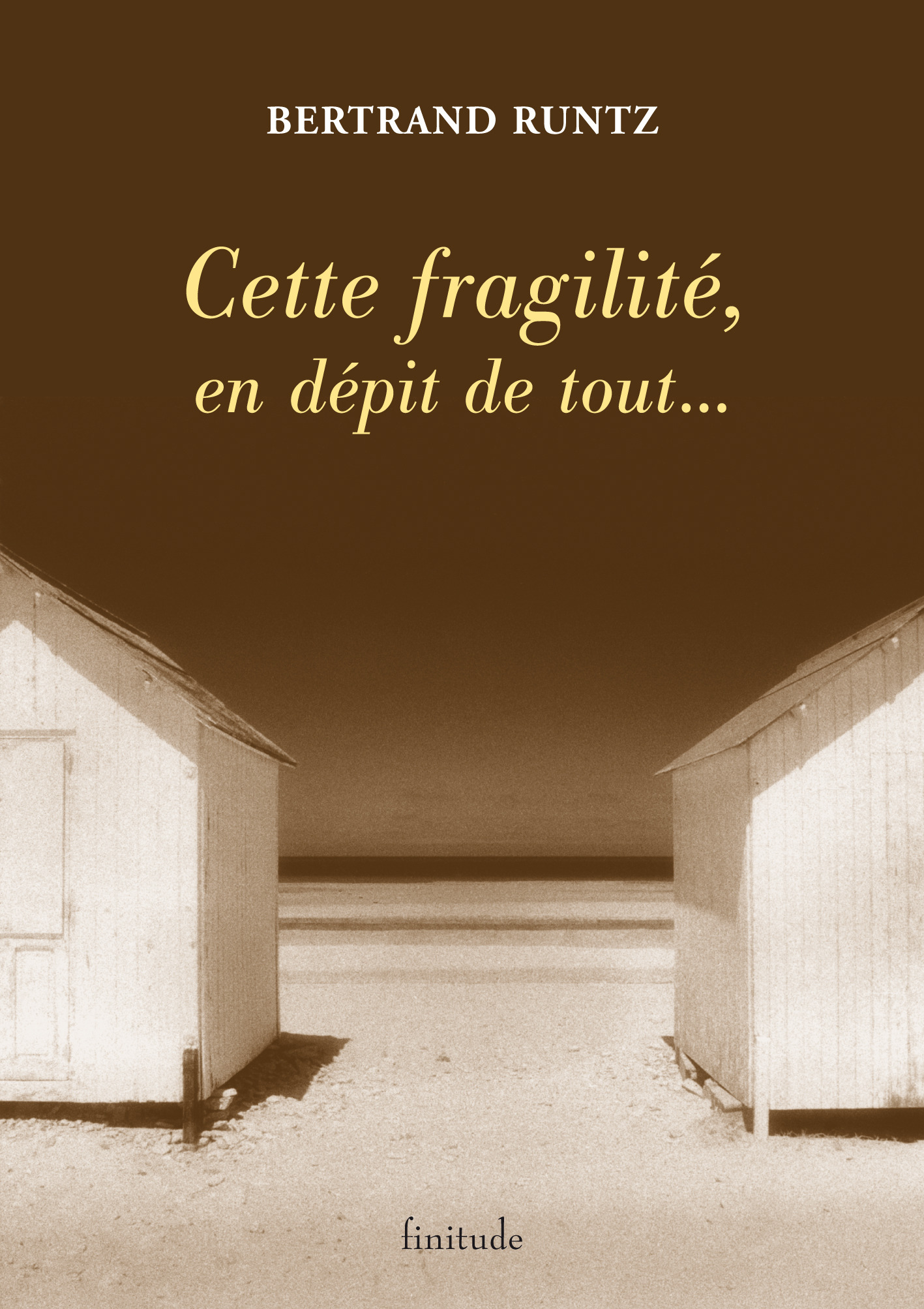 CETTE FRAGILITE, EN DEPIT DE TOUT...