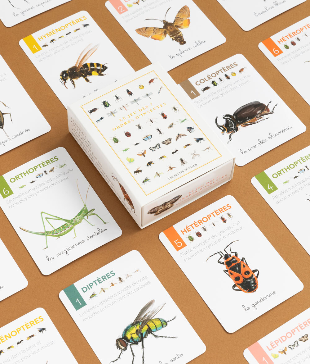 LE JEU DES 7 ORDRES D'INSECTES