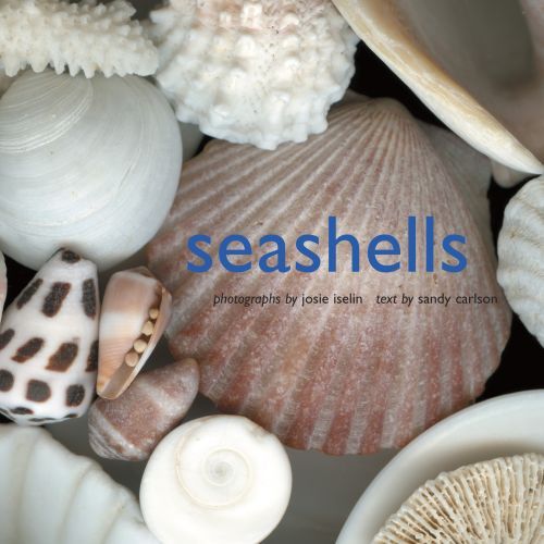 SEASHELLS