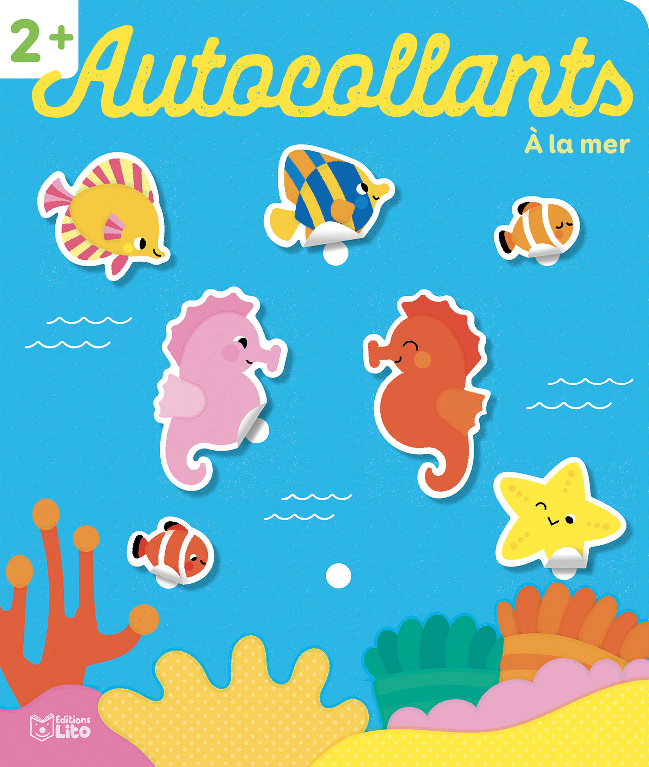 IMAG A COMP EN AUTO A LA MER