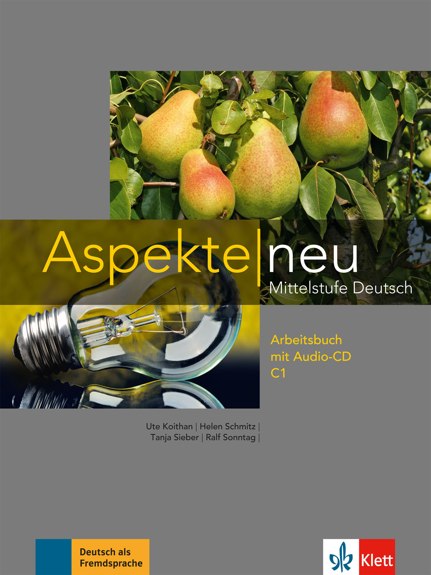 Aspekte neu C1 - Cahier d'activités