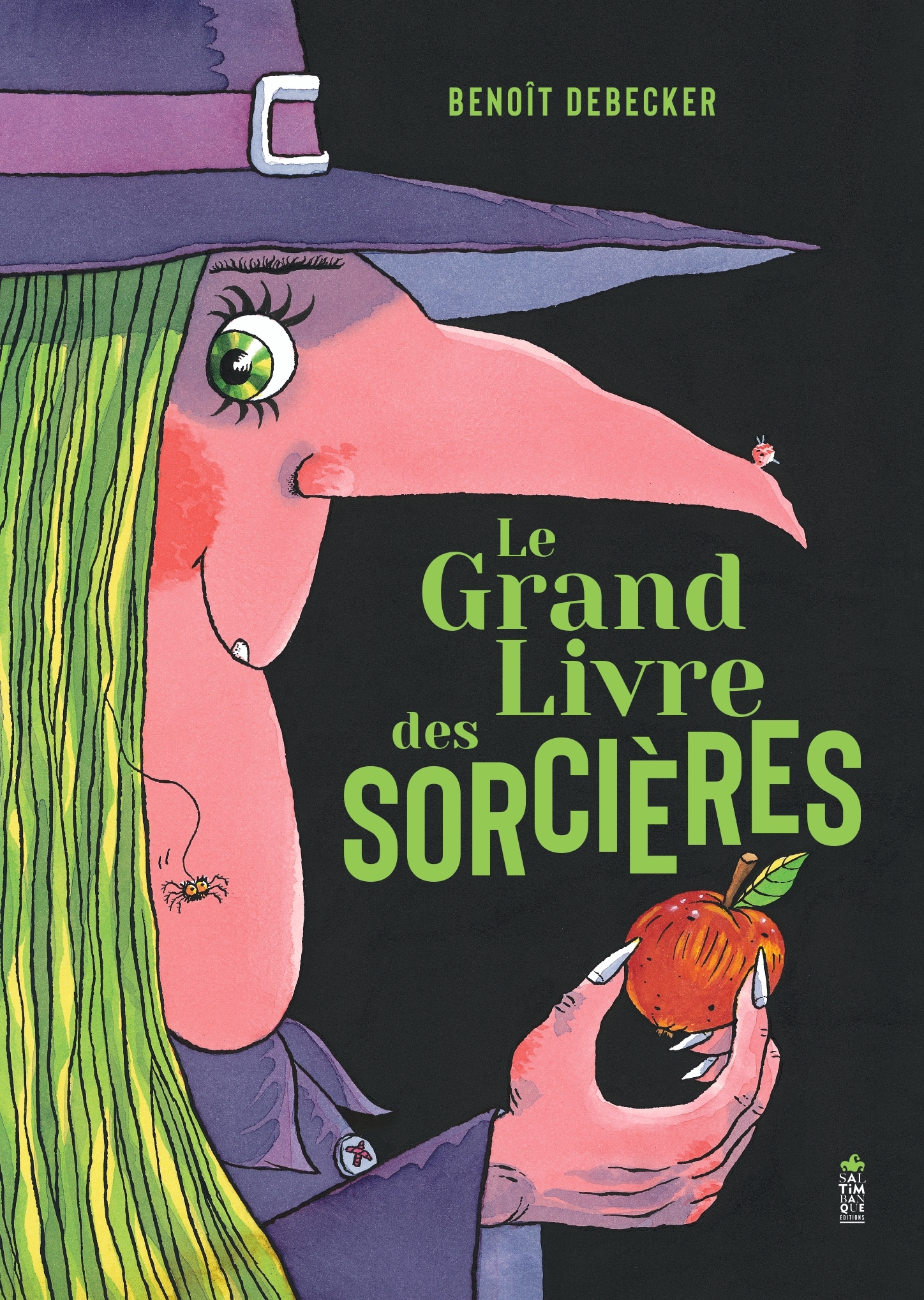 Le grand livre des sorcières
