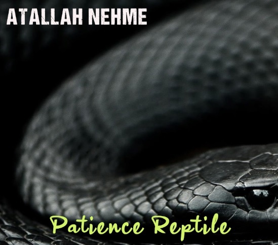 PATIENCE REPTILE