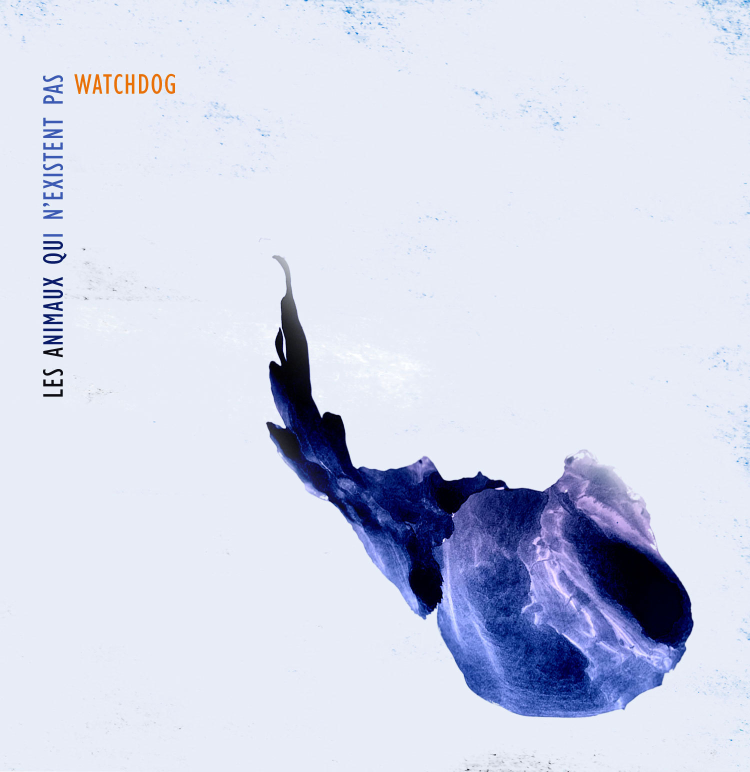 ANIMAUX QUI N EXISTENT PAS