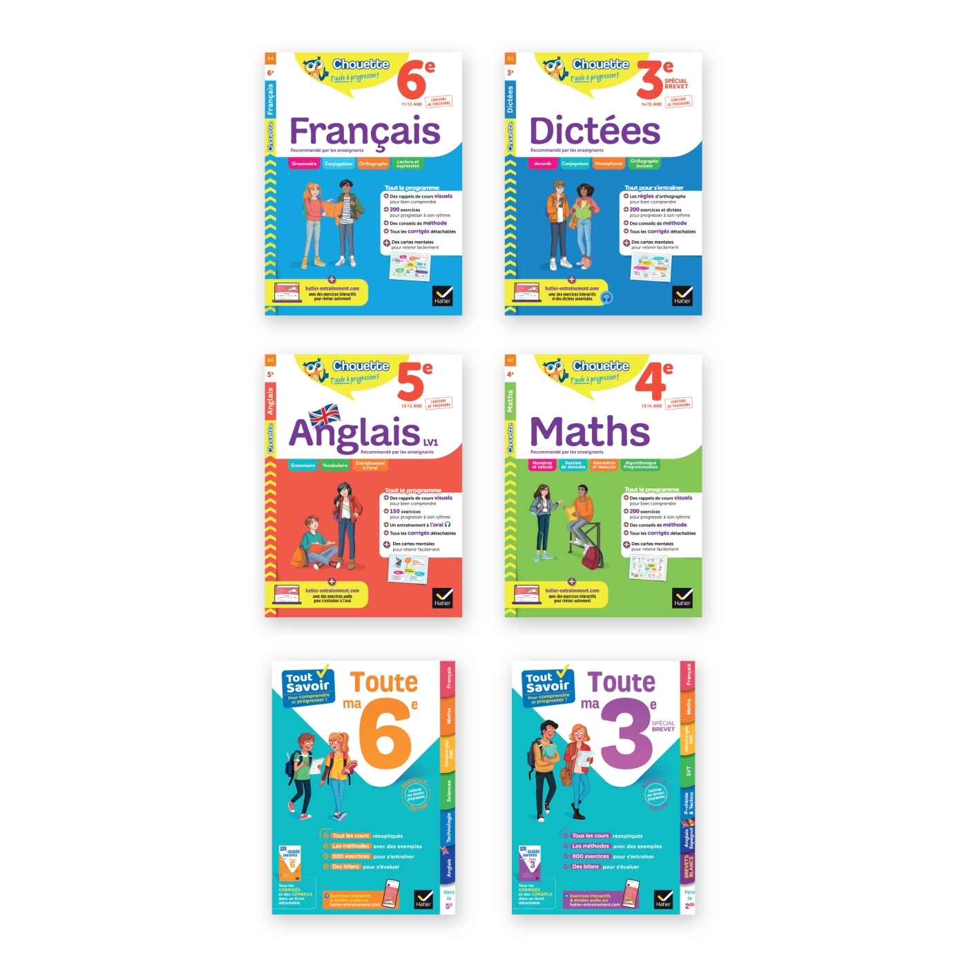 Colis vrac Collège 35 ex