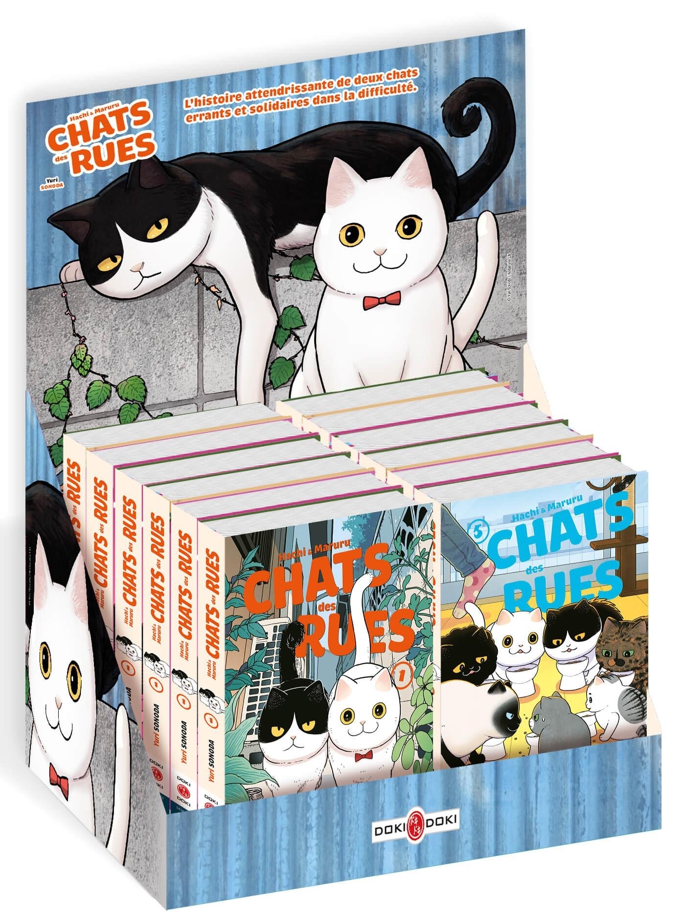 Hachi & Maruru - Chats des rues - Display comptoir 20 ex