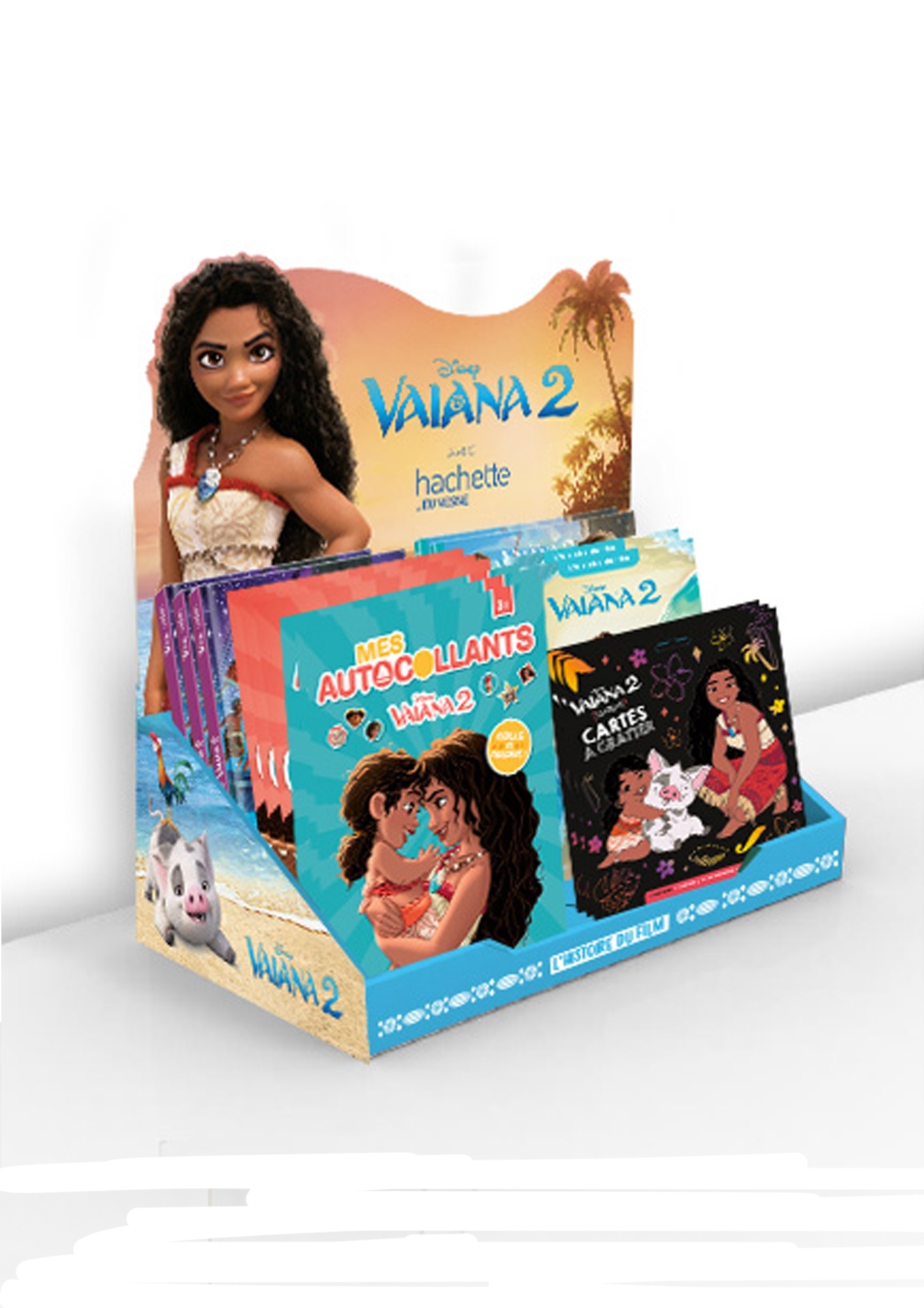 COMPTOIR 22 VOL AUCHAN OP DVD VAIANA 2 MARS 2025