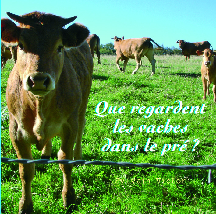 Que regardent les vaches dans le pré ?