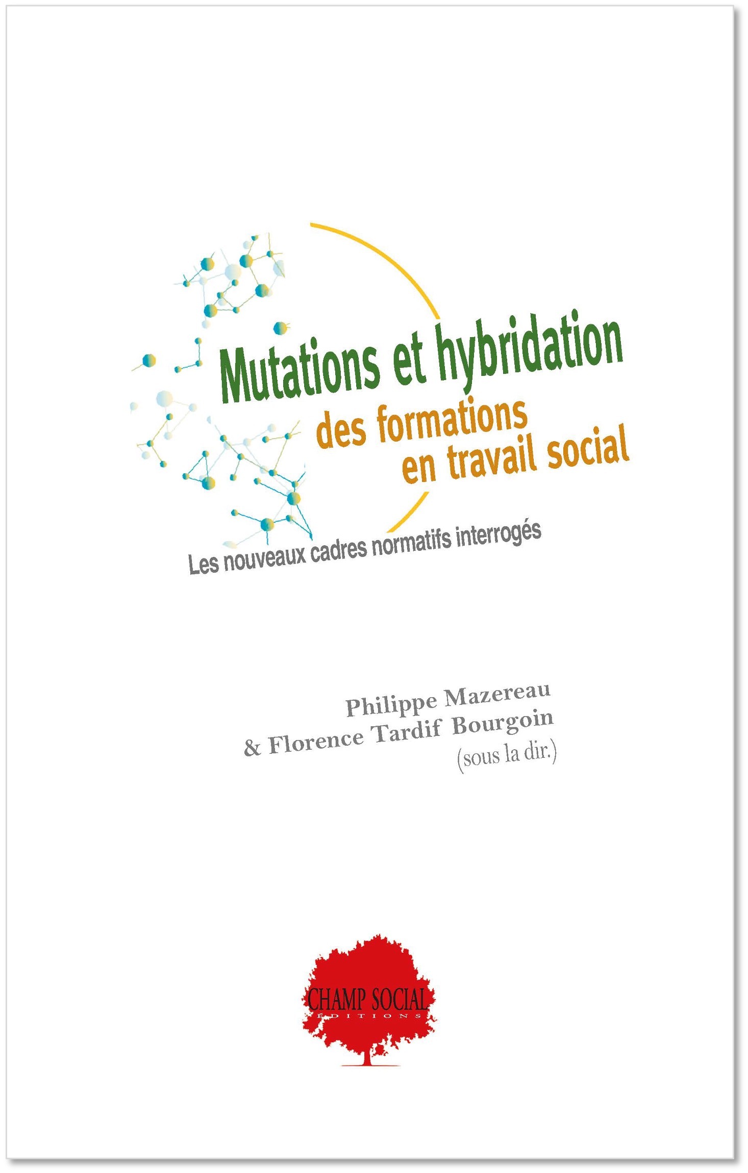 Mutations et hybridation des formations en travail social : les nouveaux cadres normatifs interrogés