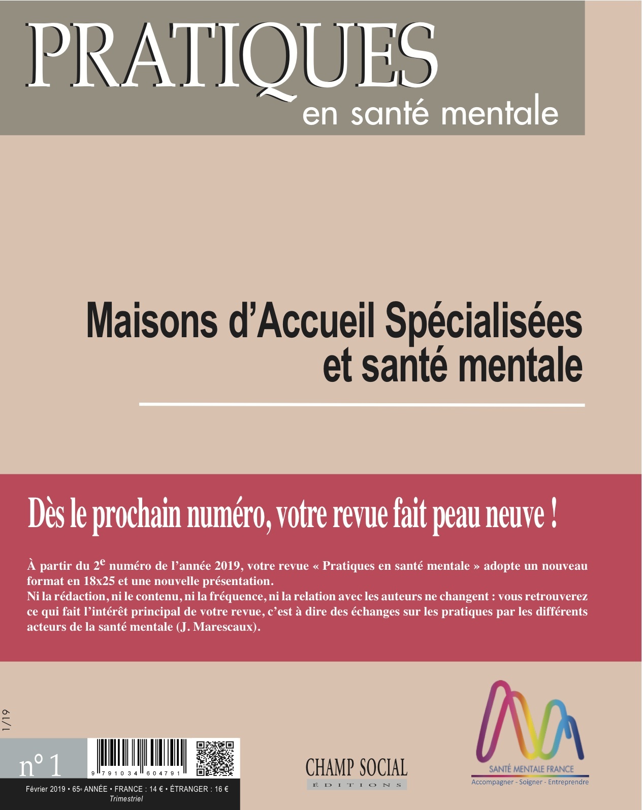 Pratiques en santé mentale n°1 année 2019.  Maison d'accueil spécialisées et santé mentale