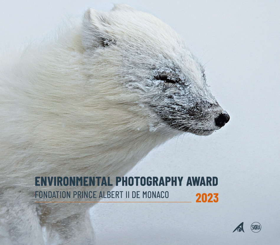 Environmental photography award 2023