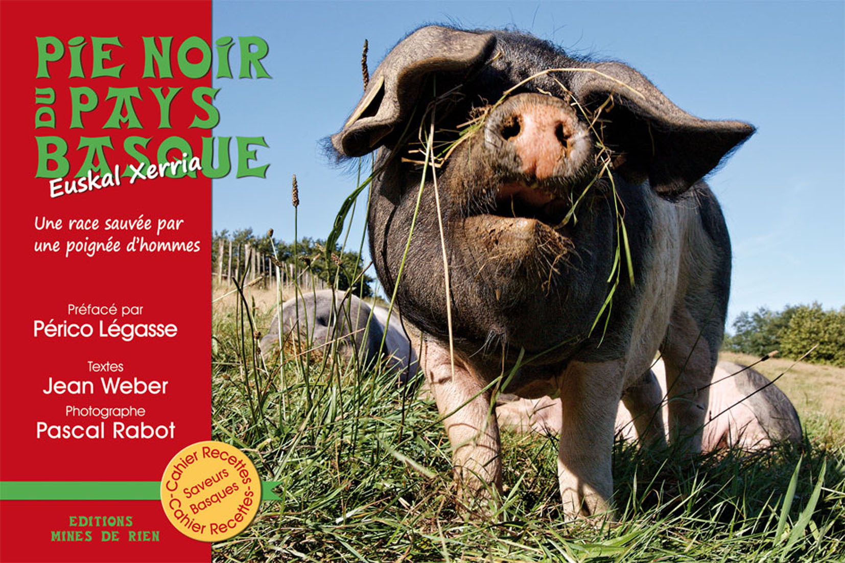 Pie noir du Pays basque - une race sauvée par une poignée d'hommes