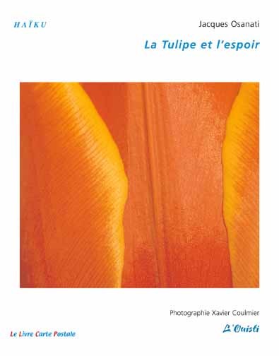 La Tulipe et l'espoir - Haïku et son commentaire, photographies Xavier Coulmier