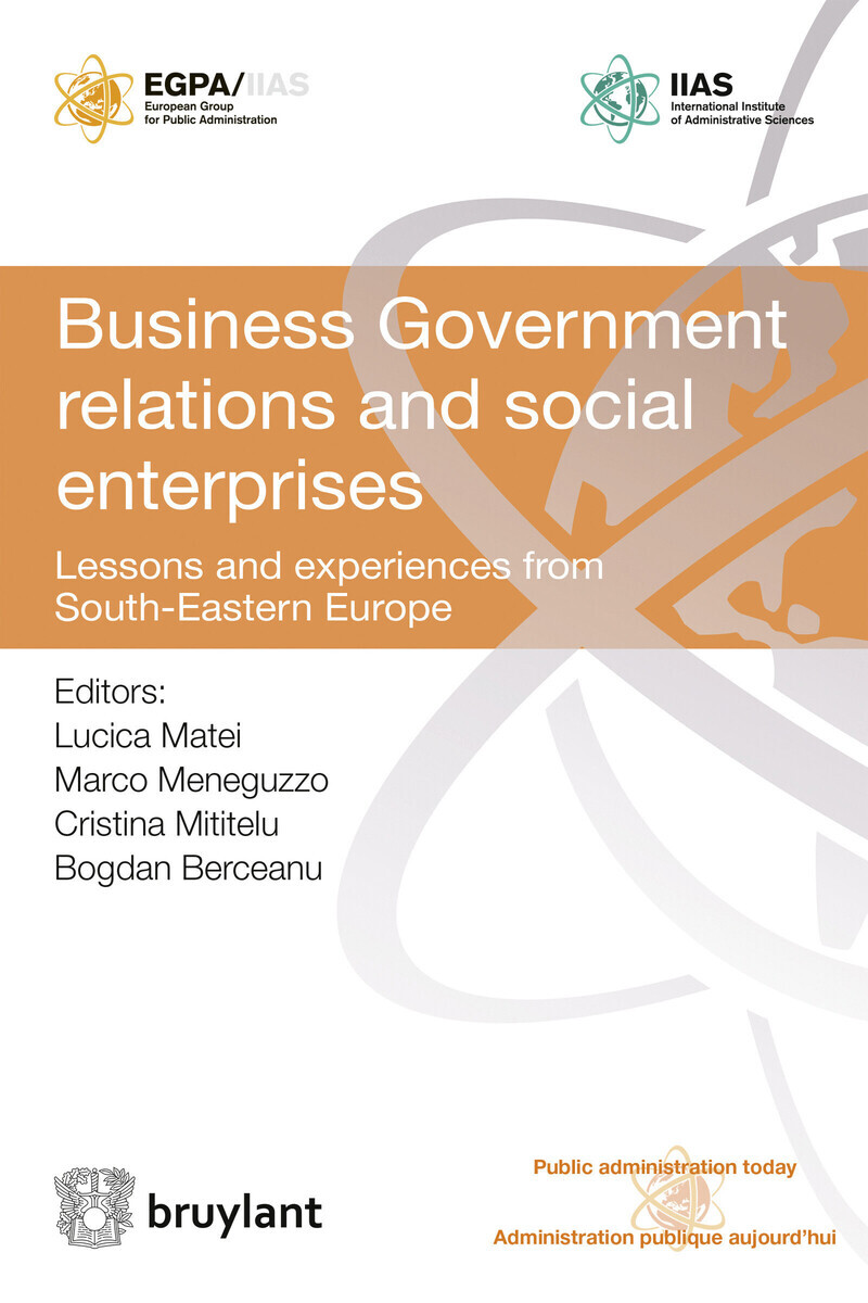 Business Government relations and social enterprises