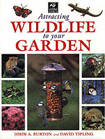 Attracting Wildlife to Your Garden