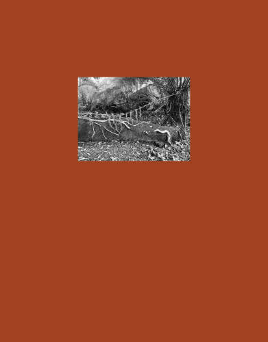 The Australian Journey