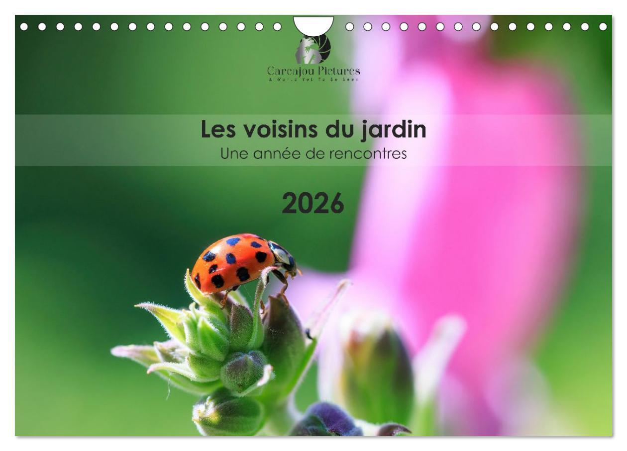 Les voisins du jardin - Une année de rencontres (Calendrier mural 2026 DIN A4 vertical), CALVENDO calendrier mensuel