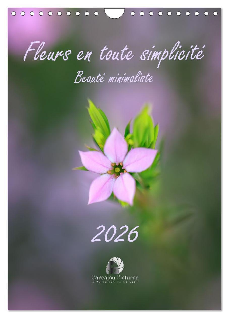 Fleurs en toute simplicité - Beauté minimaliste (Calendrier mural 2026 DIN A4 horizontal), CALVENDO calendrier mensuel