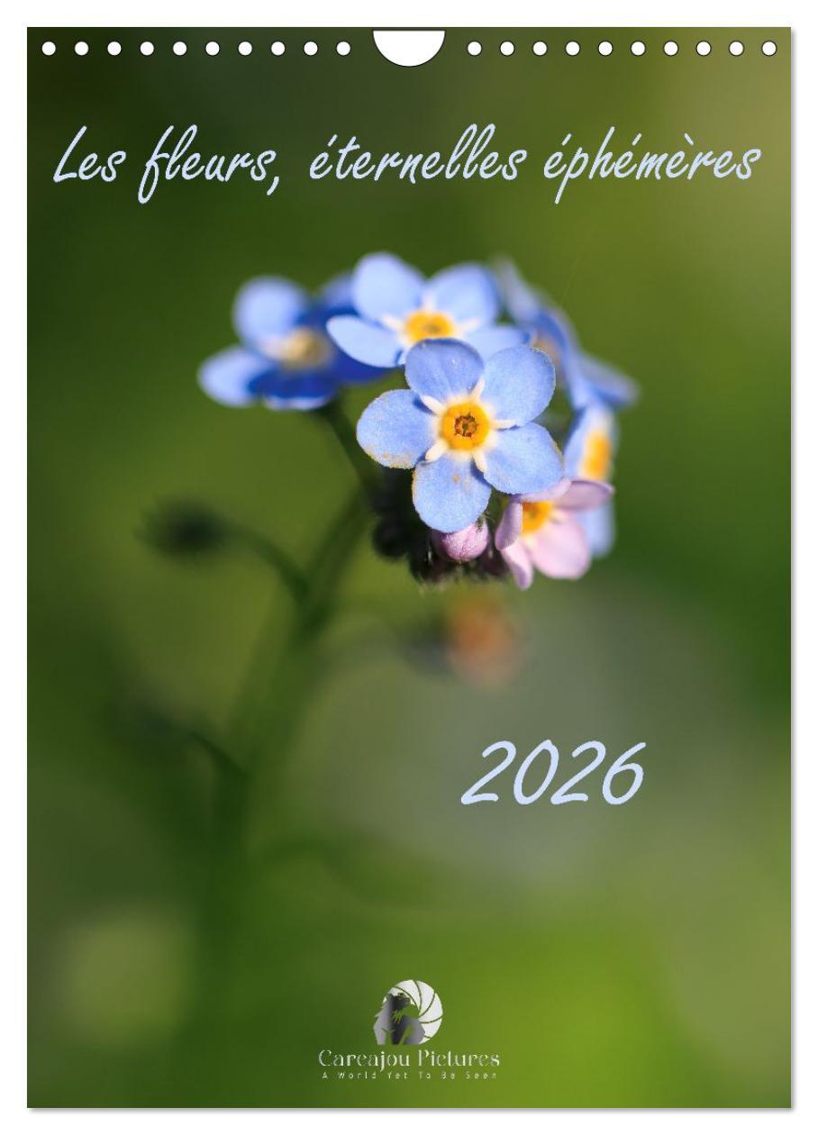 Les fleurs, éternelles éphemères (Calendrier mural 2026 DIN A4 horizontal), CALVENDO calendrier mensuel