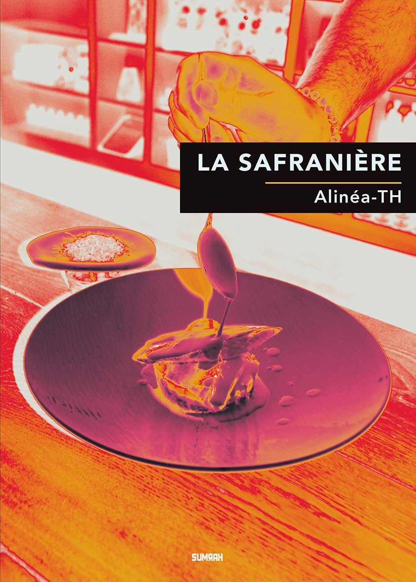 La safranière - roman