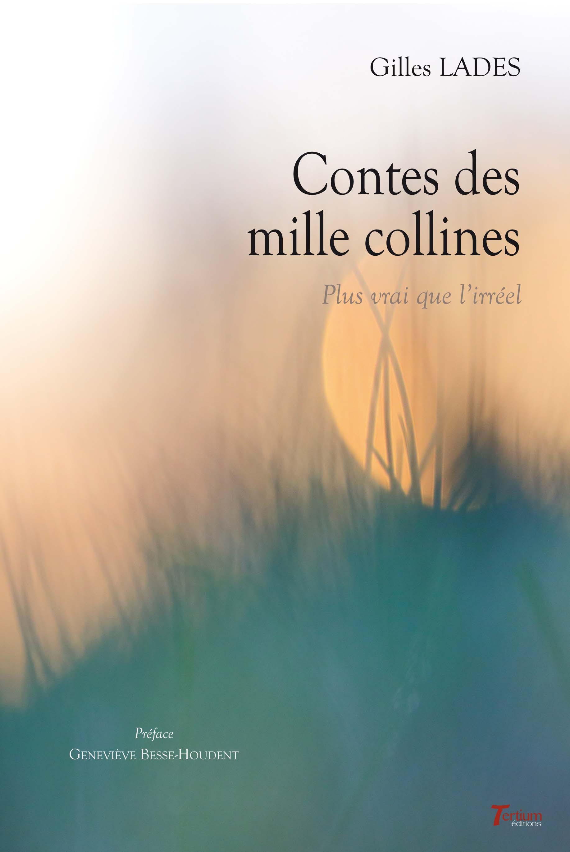 Contes des mille collines - plus vrai que l'irréel