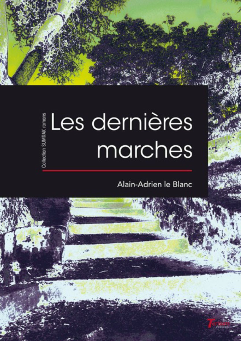 Les dernières marches - roman