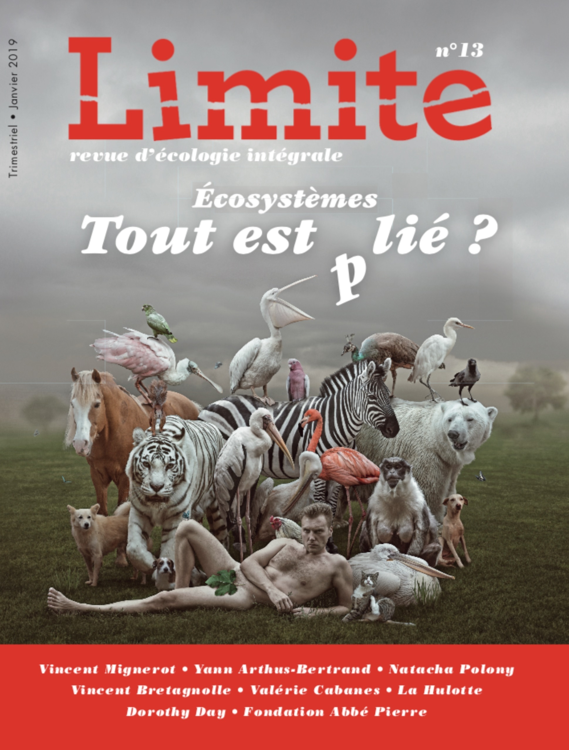 Écosystèmes : tout est (p)lié ? - Revue Limite n°13